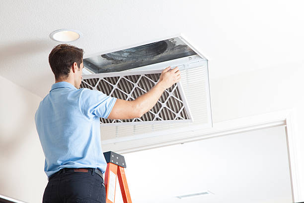 Best Local HVAC companies  in Crainvle, IL